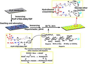 生物基聚合物微孔膜制备与改性研究获突破 宁波材料所引领绿色材料技术新进展