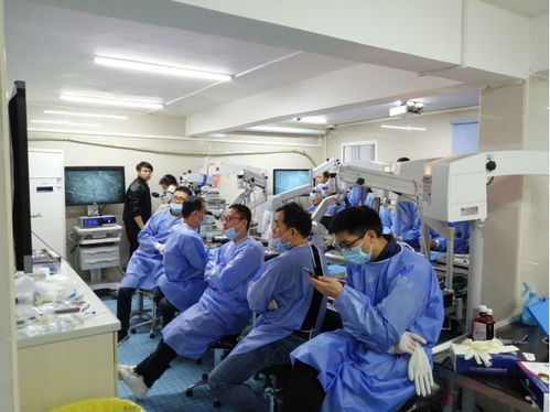 科技赋能，精进医技——暨南大学附属第一医院第八届颅脑显微外科基本技能培训班与生物基材料技术研发的融合探索