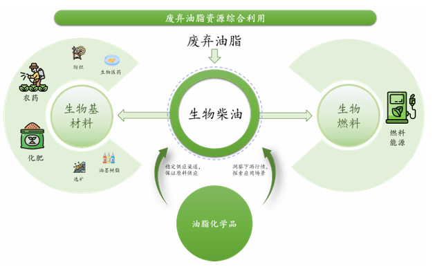 卖“地沟油”的准独角兽冲刺IPO 生物基材料赛道的破局与隐忧